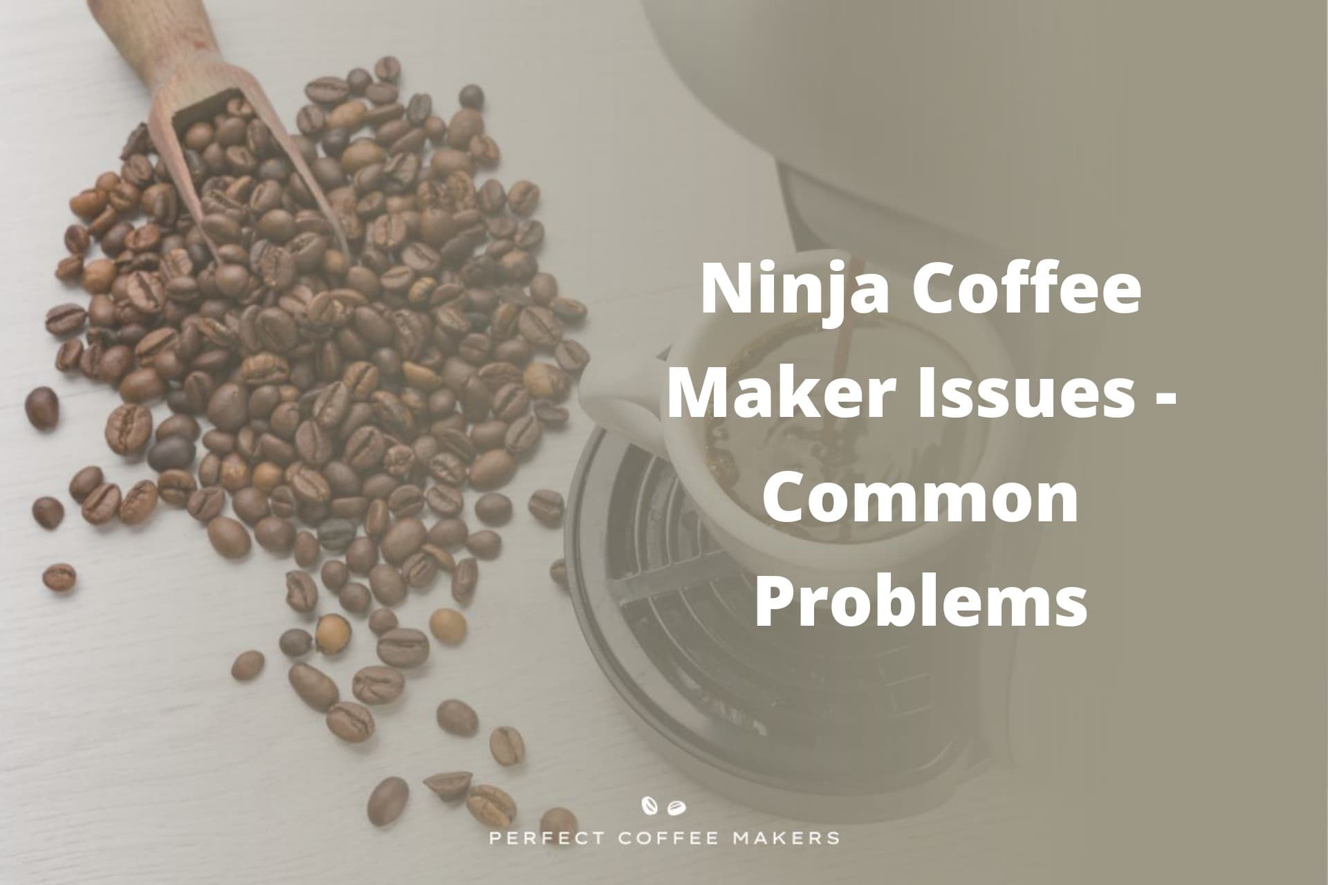 Ninja Coffee Maker Issues Common Problems Perfect Coffee Makers